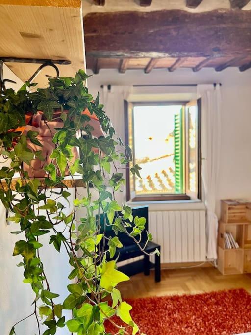 Siena - A Pochi Passi Da Piazza Del Campo Apartamento Exterior foto